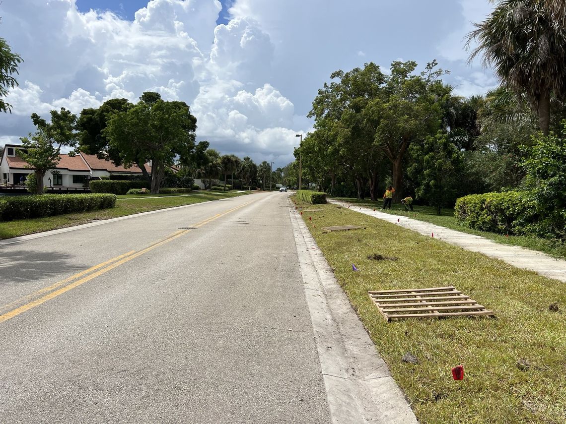Crew installing sod along a road shoulder