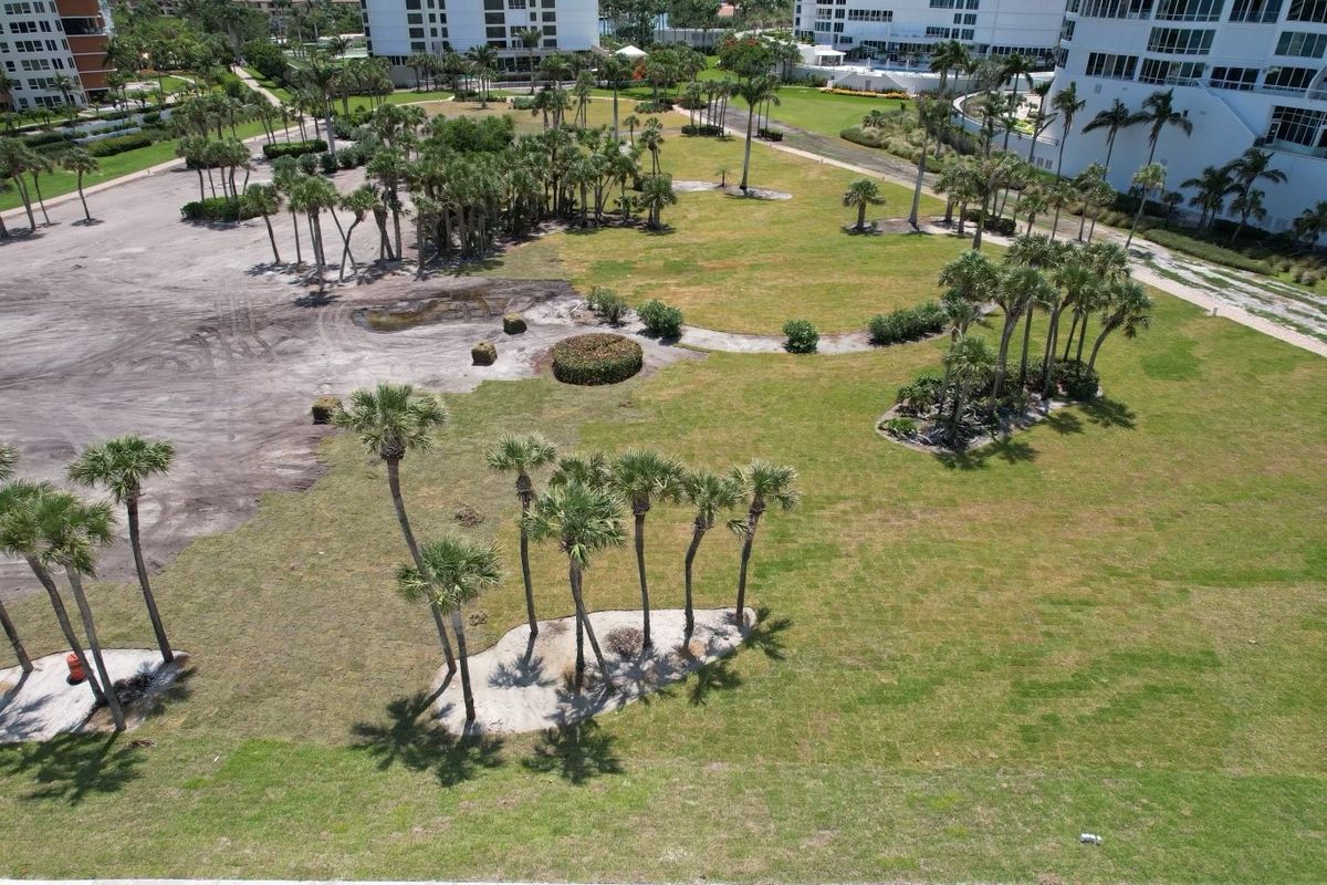 Same grounds with new sod laid around the palm islands