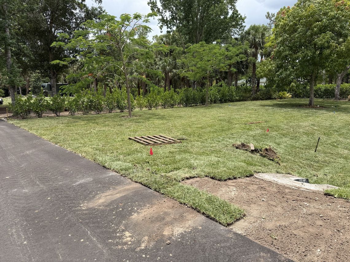 Sod being laid along a new driveway, empty pallet on the lawn