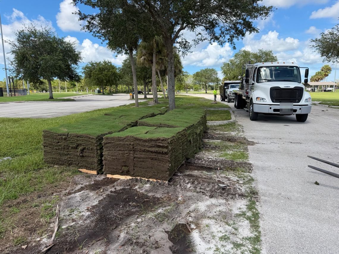 Full pallets of sod staged curbside at a park, with a flatbed truck behind